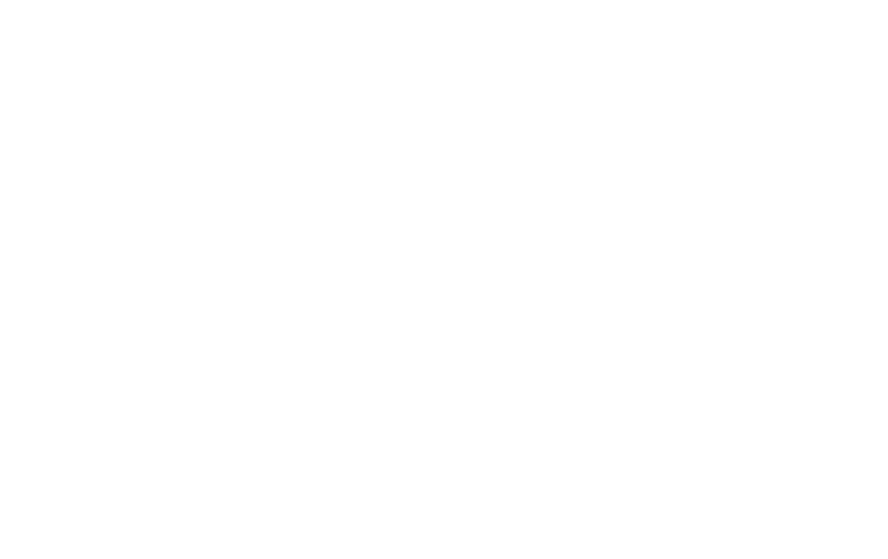 lincoln-financial-logo-white