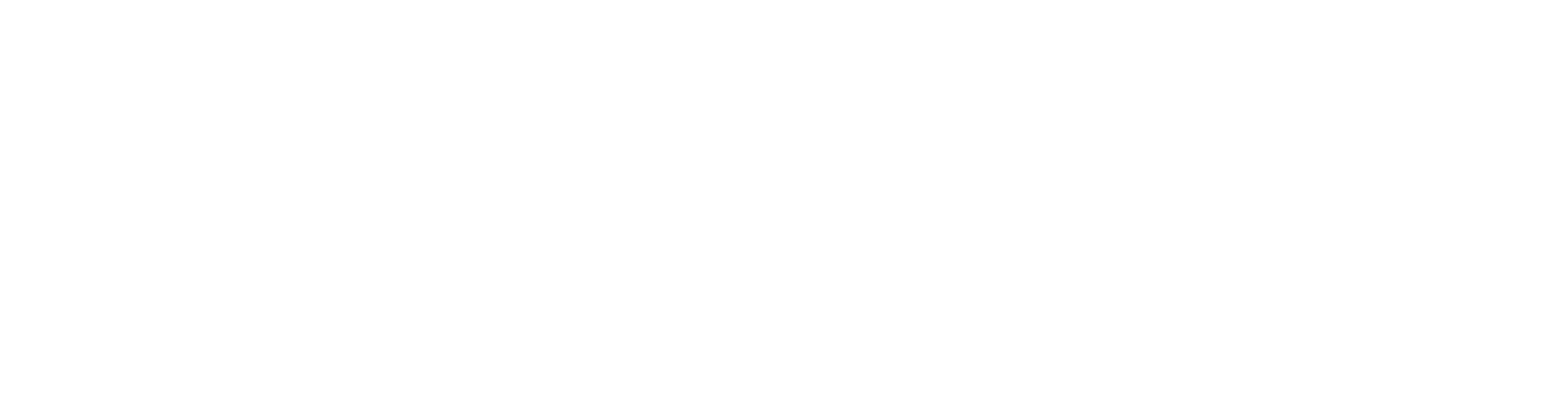logo (3)